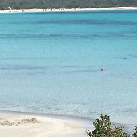 Sardinia